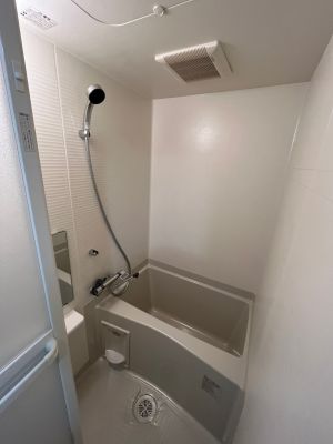 グリーンアベニュー関連画像